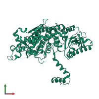 PDB entry 1q50 coloured by chain, front view.