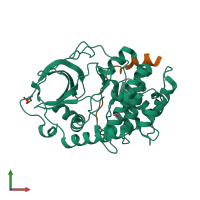 PDB entry 1q61 coloured by chain, front view.