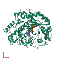 PDB entry 1q6d coloured by chain, front view.