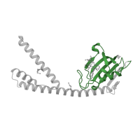 The deposited structure of PDB entry 1q6i contains 2 copies of Pfam domain PF00254 (FKBP-type peptidyl-prolyl cis-trans isomerase) in FKBP-type peptidyl-prolyl cis-trans isomerase FkpA. Showing 1 copy in chain A.