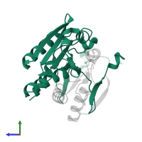 Aminoacylase-1 in PDB entry 1q7l, assembly 2, side view.