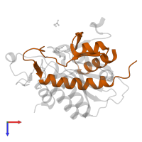 Aminoacylase-1 in PDB entry 1q7l, assembly 2, top view.