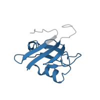 The deposited structure of PDB entry 1q7x contains 1 copy of Pfam domain PF00595 (PDZ domain) in Tyrosine-protein phosphatase non-receptor type 13. Showing 1 copy in chain A.