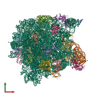 Hetero 31-meric assembly 1 of PDB entry 1q7y coloured by chemically distinct molecules, front view.