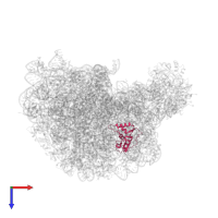 Large ribosomal subunit protein uL13 in PDB entry 1q7y, assembly 1, top view.