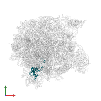 Large ribosomal subunit protein eL15 in PDB entry 1q7y, assembly 1, front view.