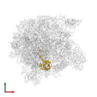 Large ribosomal subunit protein uL4 in PDB entry 1q7y, assembly 1, front view.