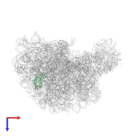 Large ribosomal subunit protein eL31 in PDB entry 1q82, assembly 1, top view.