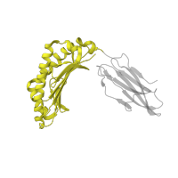 The deposited structure of PDB entry 1q94 contains 2 copies of SCOP domain 54453 (MHC antigen-recognition domain) in HLA class I histocompatibility antigen, A alpha chain. Showing 1 copy in chain A.