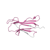 The deposited structure of PDB entry 1q94 contains 2 copies of Pfam domain PF07654 (Immunoglobulin C1-set domain) in Beta-2-microglobulin. Showing 1 copy in chain B.