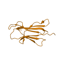 The deposited structure of PDB entry 1q94 contains 2 copies of SCOP domain 48942 (C1 set domains (antibody constant domain-like)) in Beta-2-microglobulin. Showing 1 copy in chain B.