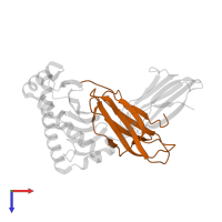 Beta-2-microglobulin in PDB entry 1q94, assembly 1, top view.