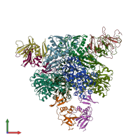 PDB entry 1q95 coloured by chain, front view.