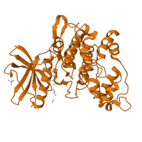 The deposited structure of PDB entry 1q99 contains 2 copies of SCOP domain 88854 (Protein kinases, catalytic subunit) in Serine/threonine-protein kinase SKY1. Showing 1 copy in chain B.