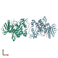 PDB entry 1q99 coloured by chain, front view.