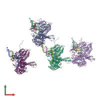 PDB entry 1q9x coloured by chain, front view.