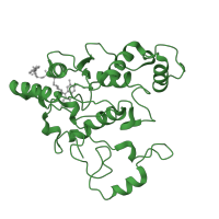 The deposited structure of PDB entry 1qbg contains 4 copies of SCOP domain 52235 (Quinone reductase) in NAD(P)H dehydrogenase [quinone] 1. Showing 1 copy in chain A.