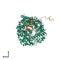 PDB entry 1qbk coloured by chain, side view.