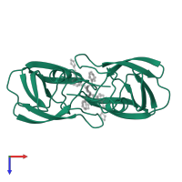 Protease in PDB entry 1qbu, assembly 1, top view.