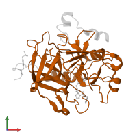 Thrombin heavy chain in PDB entry 1qbv, assembly 1, front view.