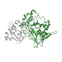 The deposited structure of PDB entry 1qcn contains 2 copies of Pfam domain PF01557 (Fumarylacetoacetate (FAA) hydrolase family) in Fumarylacetoacetase. Showing 1 copy in chain B.