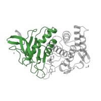 The deposited structure of PDB entry 1qf0 contains 1 copy of Pfam domain PF01447 (Thermolysin metallopeptidase, catalytic domain) in Thermolysin. Showing 1 copy in chain A.