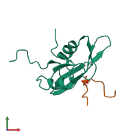 PDB entry 1qg1 coloured by chain, front view.