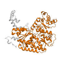 The deposited structure of PDB entry 1qh1 contains 2 copies of Pfam domain PF00148 (Nitrogenase component 1 type Oxidoreductase) in Nitrogenase molybdenum-iron protein beta chain. Showing 1 copy in chain B.