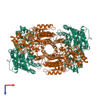 Hetero tetrameric assembly 1 of PDB entry 1qh1 coloured by chemically distinct molecules, top view.