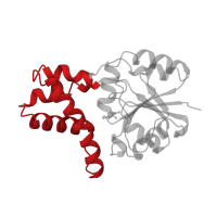 The deposited structure of PDB entry 1qh9 contains 1 copy of CATH domain 1.10.150.240 (DNA polymerase; domain 1) in (S)-2-haloacid dehalogenase. Showing 1 copy in chain A.