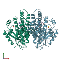 PDB entry 1qhi coloured by chain, front view.
