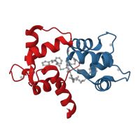 The deposited structure of PDB entry 1qiv contains 2 copies of CATH domain 1.10.238.10 (Recoverin; domain 1) in Calmodulin. Showing 2 copies in chain A.