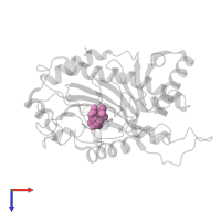 ISOPENICILLIN N in PDB entry 1qje, assembly 1, top view.