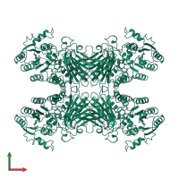 Glucose-6-phosphate 1-dehydrogenase in PDB entry 1qki, assembly 2, front view.