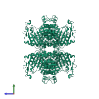 Glucose-6-phosphate 1-dehydrogenase in PDB entry 1qki, assembly 2, side view.