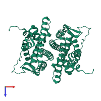 Estrogen receptor in PDB entry 1qkt, assembly 1, top view.
