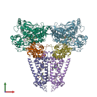 PDB entry 1qlb coloured by chain, front view.