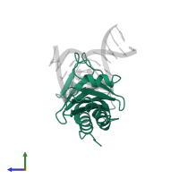 TATA-box-binding protein 1 in PDB entry 1qn9, assembly 1, side view.