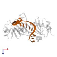 DNA (5'-D(*GP*CP*AP*AP*TP*AP*AP*AP*AP*GP*GP*GP*CP*A)-3') in PDB entry 1qnc, assembly 1, top view.