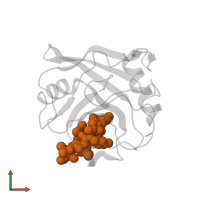 CYCLOSPORIN A in PDB entry 1qng, assembly 1, front view.