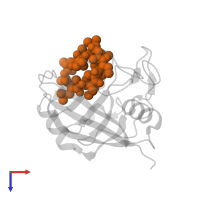 CYCLOSPORIN A in PDB entry 1qng, assembly 1, top view.