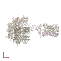 PDB entry 1qo1 coloured by chain, front view.