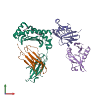 PDB entry 1qo3 coloured by chain, front view.