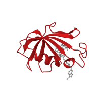 The deposited structure of PDB entry 1qpl contains 2 copies of CATH domain 3.10.50.40 (Chitinase A; domain 3) in Peptidyl-prolyl cis-trans isomerase FKBP1A. Showing 1 copy in chain A.