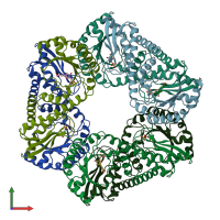 PDB entry 1qpn coloured by chain, front view.