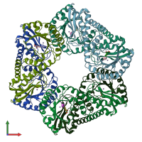 PDB entry 1qpr coloured by chain, front view.
