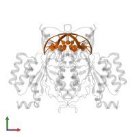 5'-D(*AP*AP*TP*TP*CP*GP*CP*GP*)-3' in PDB entry 1qps, assembly 1, front view.