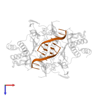 5'-D(*AP*AP*TP*TP*CP*GP*CP*GP*)-3' in PDB entry 1qps, assembly 1, top view.