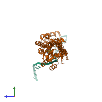 PDB entry 1qpz coloured by chain, side view.