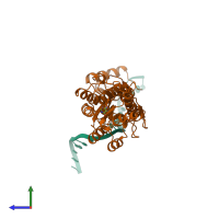 PDB entry 1qqa coloured by chain, side view.